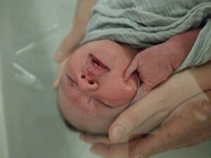 IMG_20240226_120607
